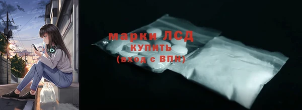 хмурый Арсеньев