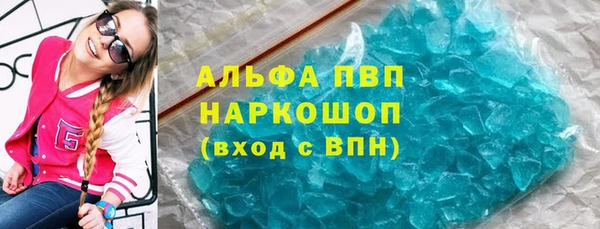 хмурый Арсеньев