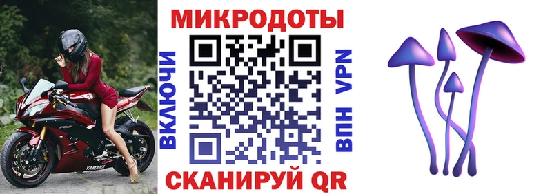 Псилоцибиновые грибы GOLDEN TEACHER Кирс